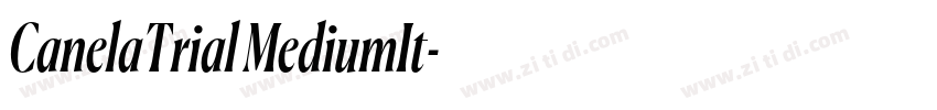 CanelaTrial MediumIt字体转换 CanelaTrial MediumIt字体转换